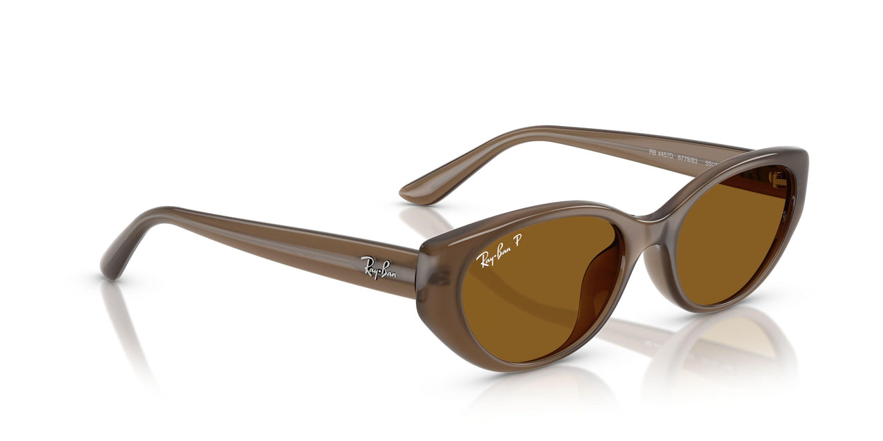 677983 - Brown - Dark Brown - Polar