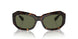 902/58 - Tortoise - Green