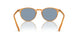 169956 - Brown - Cobalto