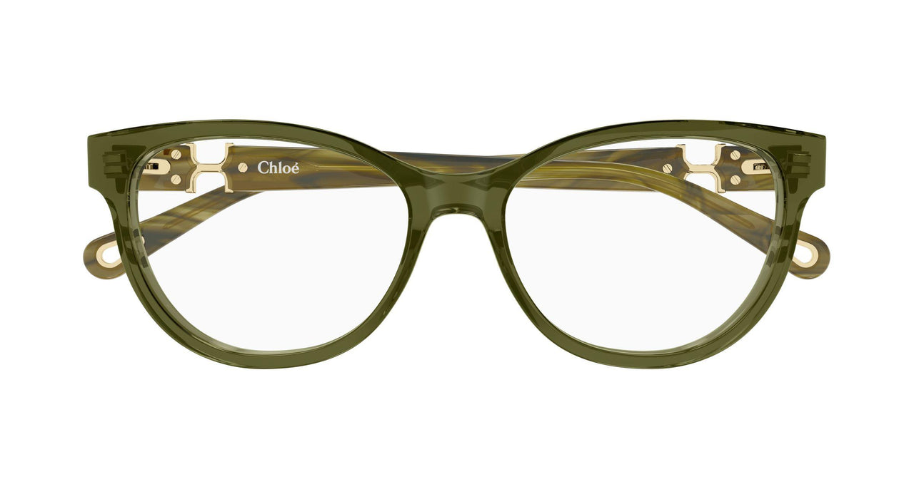010 - Green/Havana - Transparent