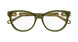 010 - Green/Havana - Transparent