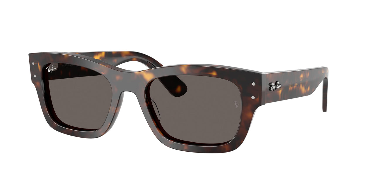 Ray-Ban Joseph 7683S Sunglasses