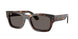 902/B1 - Tortoise - Dark Grey