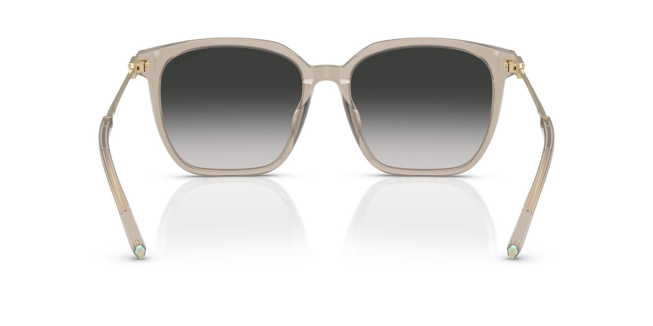 82503C - Brown - Grey Gradient