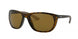 Ray-Ban 4307 Sunglasses