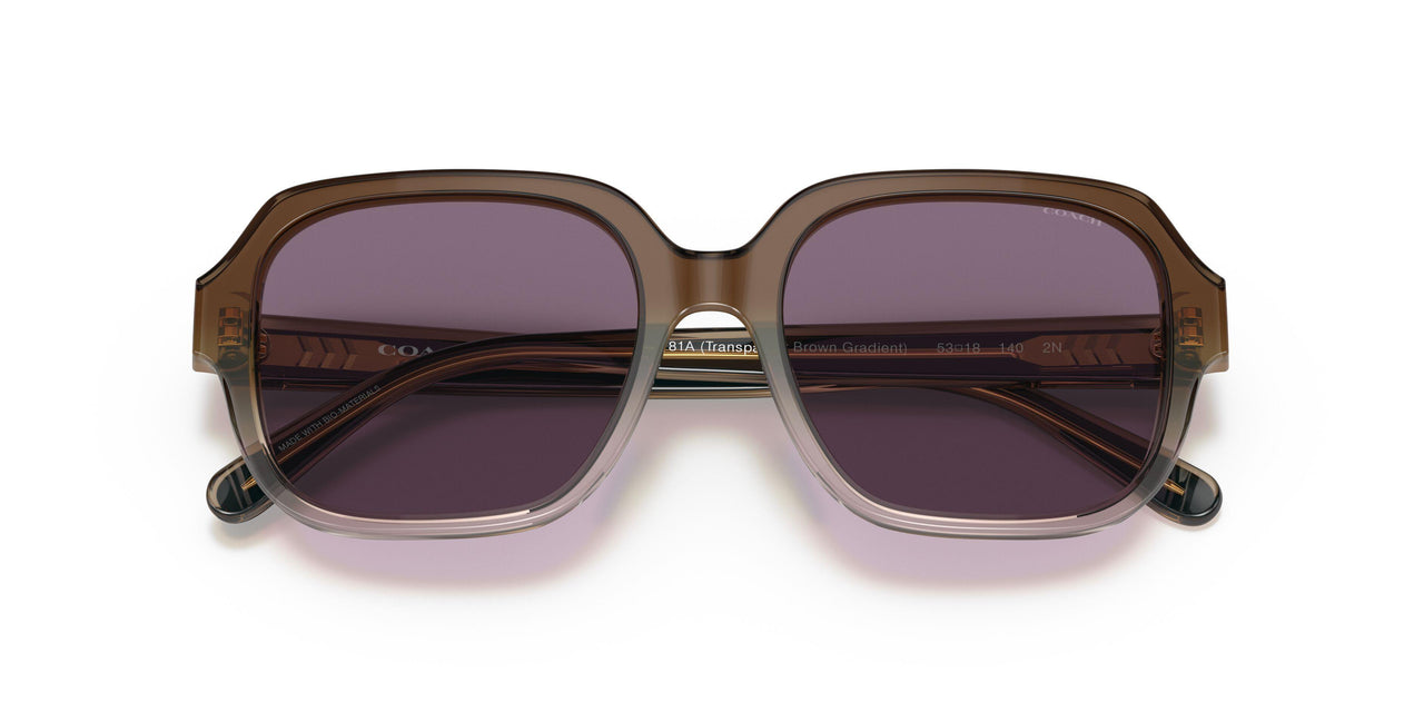 56781A - Brown - Violet Solid