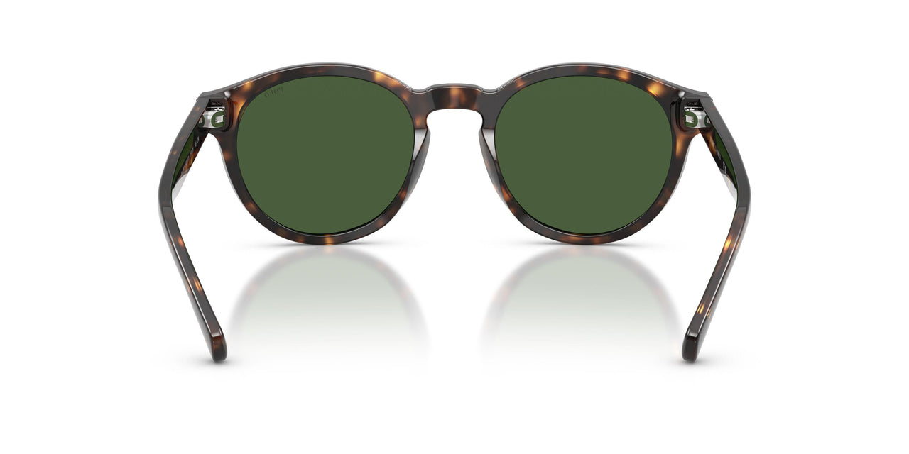 500371 - Tortoise - Bottle Green
