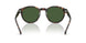 500371 - Tortoise - Bottle Green