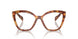 10L1O1 - Brown
