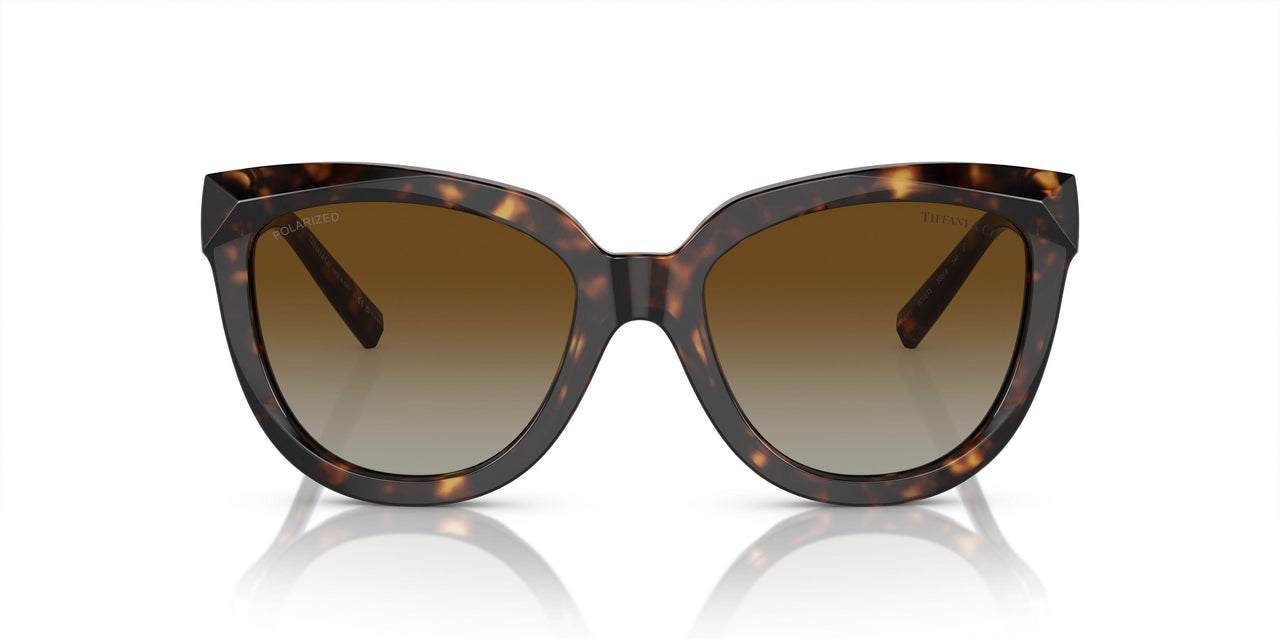 8015T5 - Tortoise - Polar Brown Gradient