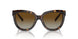 8015T5 - Tortoise - Polar Brown Gradient