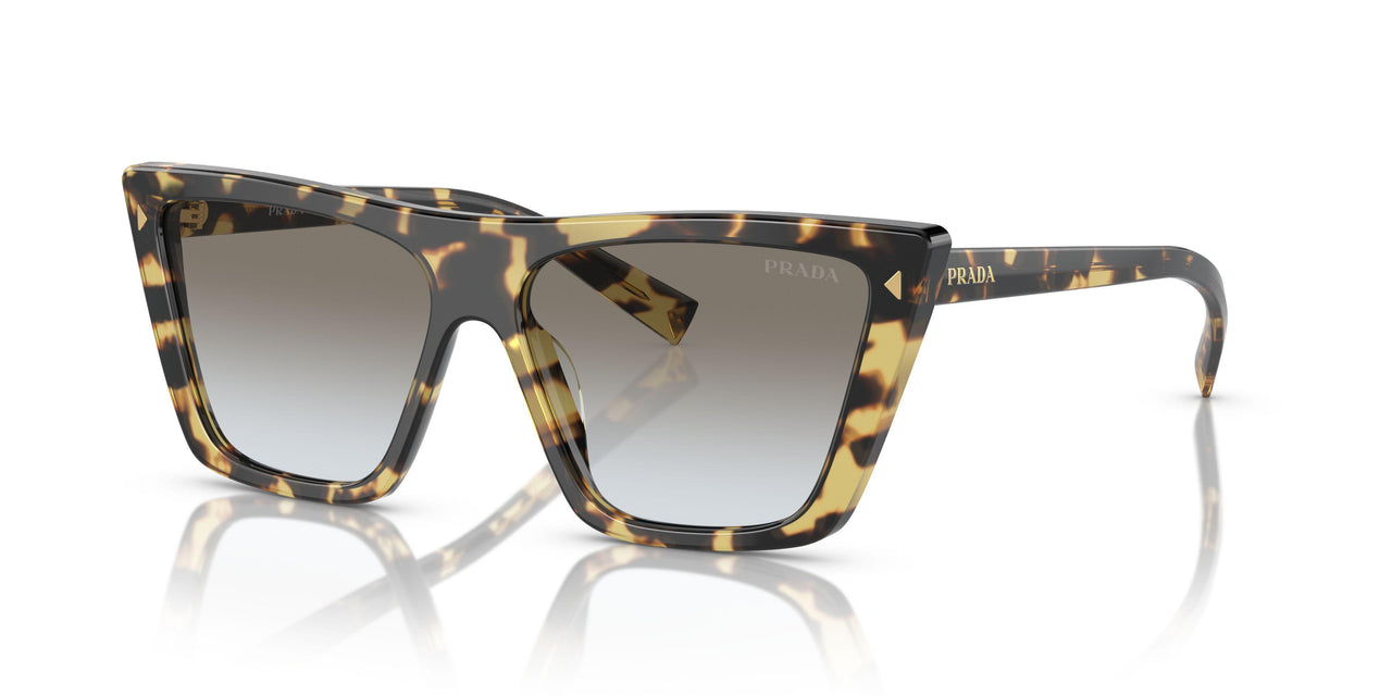 7S00A7 - Tortoise - Grey Gradient