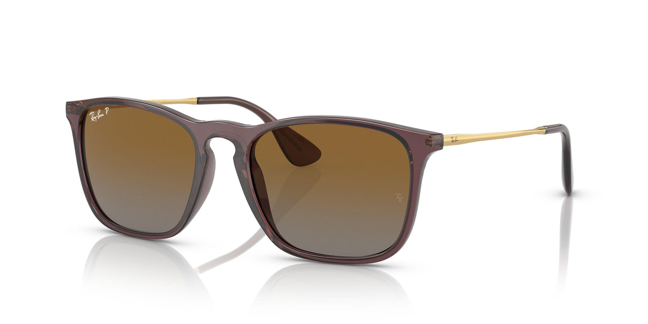 6593T5 - Brown - Grey Gradient Brown Polar
