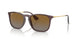 6593T5 - Brown - Grey Gradient Brown Polar