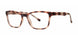 BRWNMTTTRTS - Brown Matte Tortoise