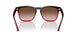 663113 - Grey - Gradient Brown