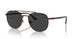 114848 - Brown - Polar Black