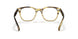 1703 - Brown