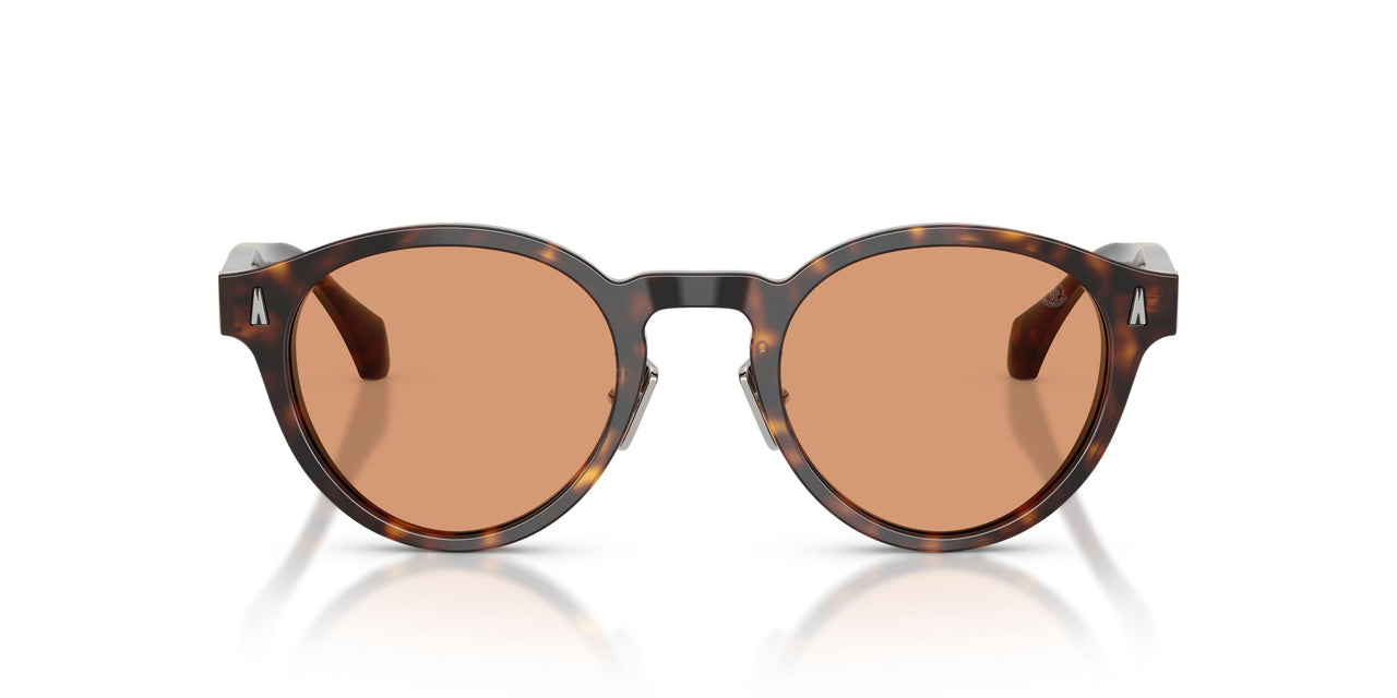 3002/7 - Tortoise - Brown Solid