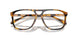 5134 - Tortoise
