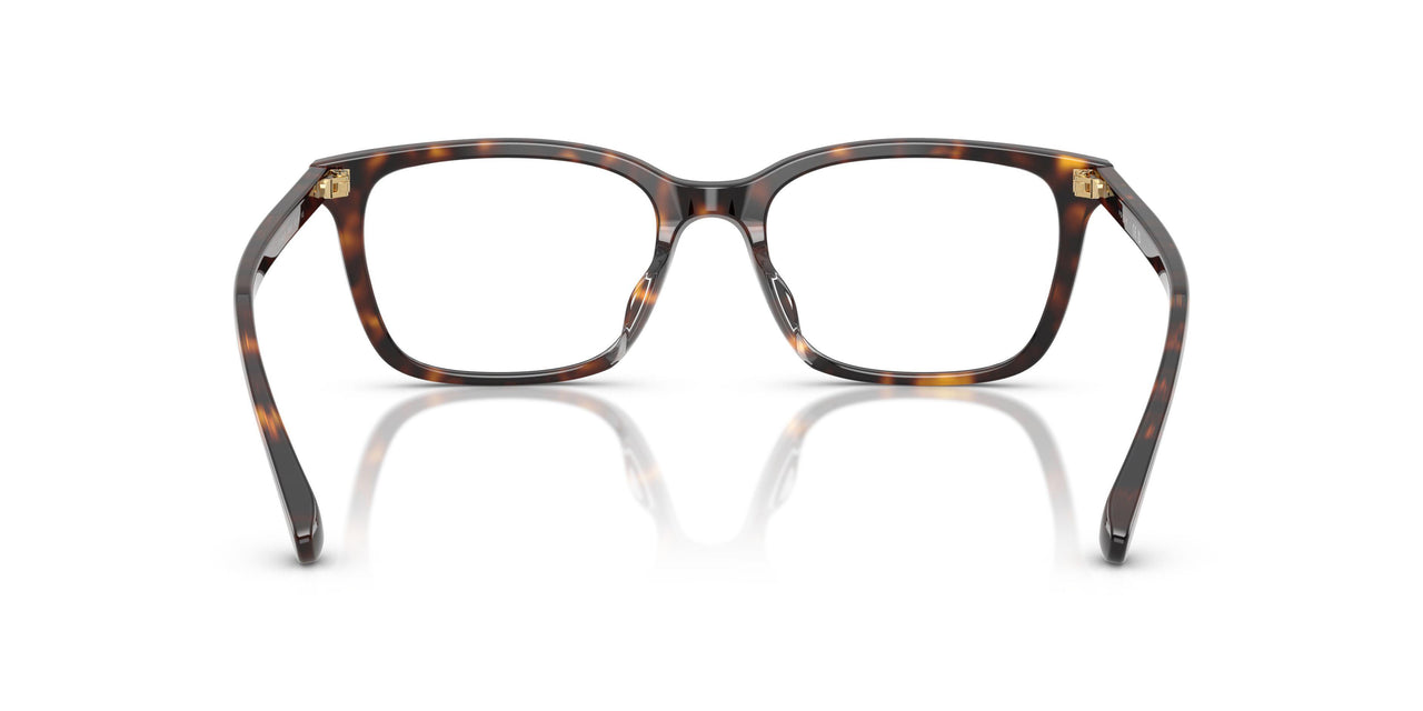 W656 - Brown