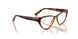 W656 - Brown
