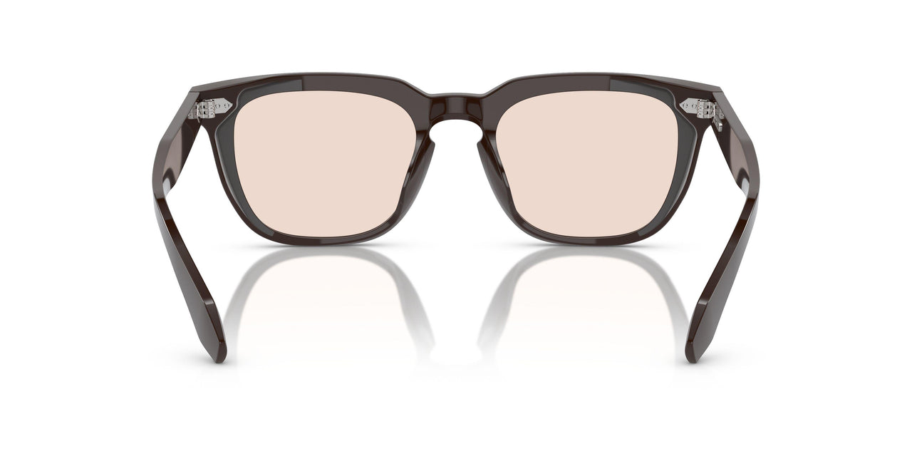 1772 - Brown