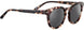 SpyOptic SS574005 Sunglasses