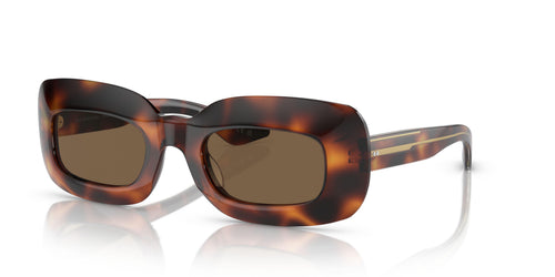 100773 - Tortoise - Brown