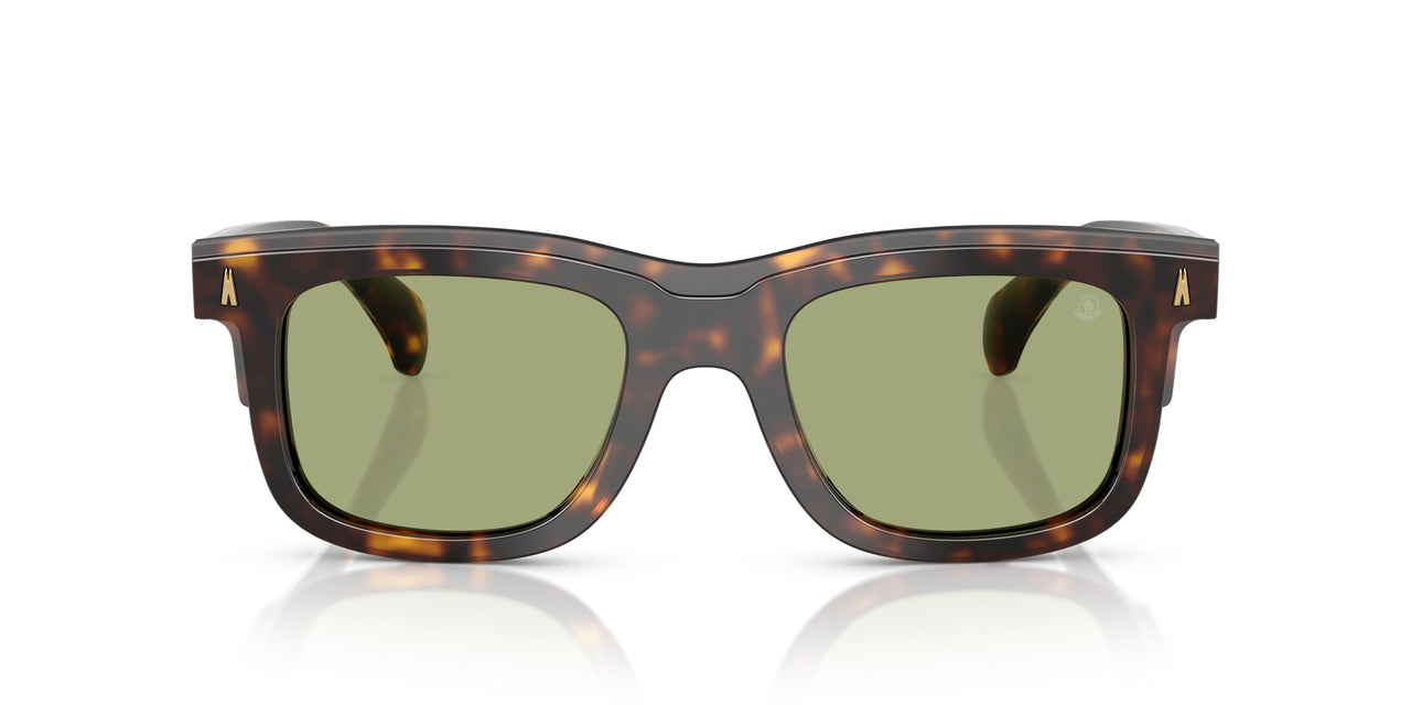 300282 - Tortoise - Green
