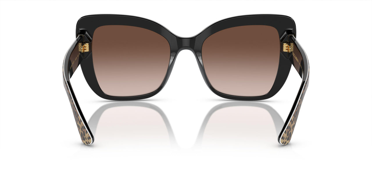 316313 - Leo Brown On Black - Brown Gradient