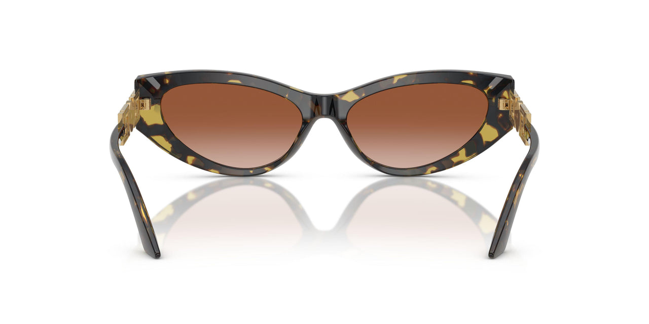 547013 - Tortoise - Brown Gradient