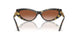 547013 - Tortoise - Brown Gradient