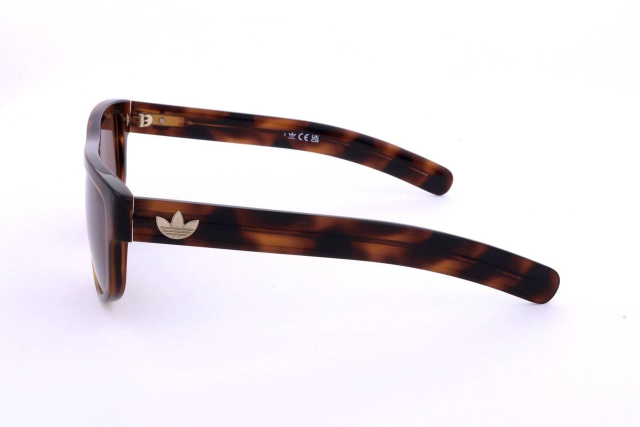 52E - DARK HAVANA