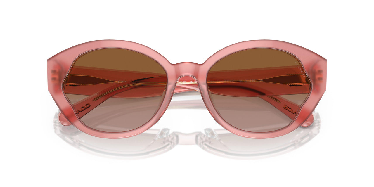574313 - Pink - Brown Gradient