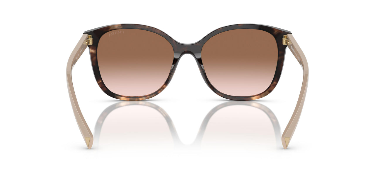 07R0A6 - Tortoise - Brown Gradient