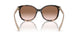 07R0A6 - Tortoise - Brown Gradient