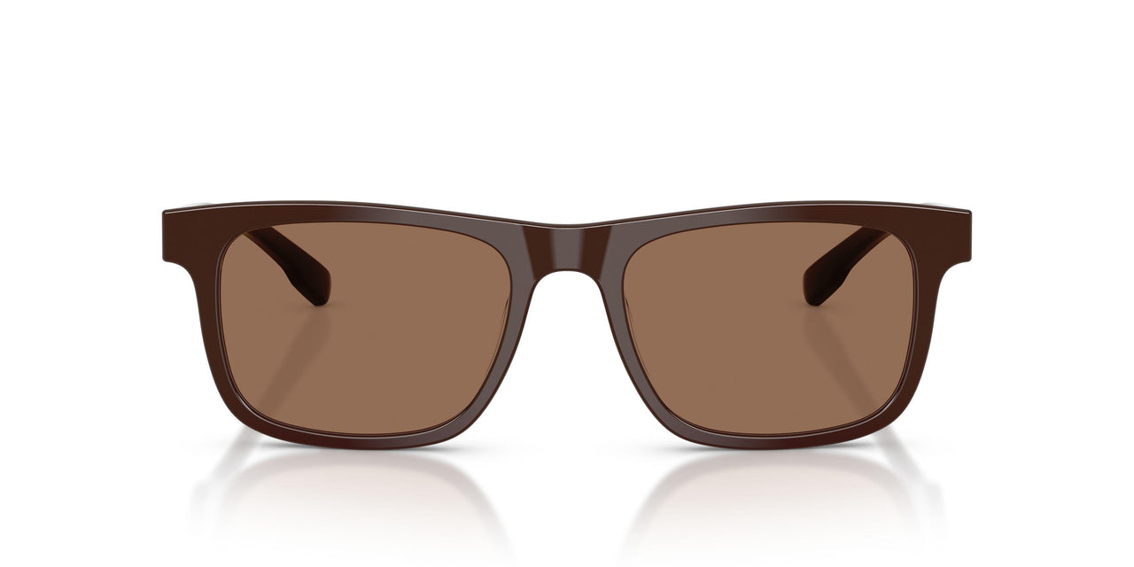 617773 - Brown - Brown