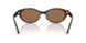 500273 - Tortoise - Dark Brown