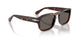 24/B1 - Tortoise - Dark Grey