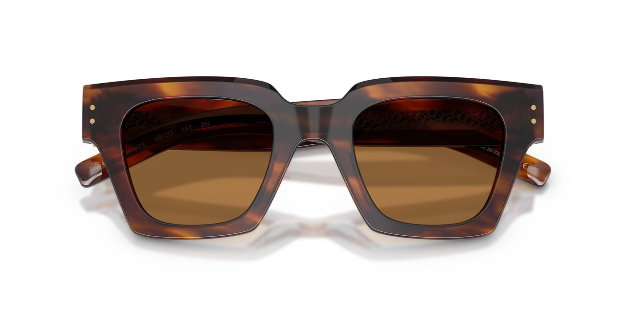 306373 - Tortoise - Bronze