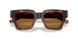 306373 - Tortoise - Bronze
