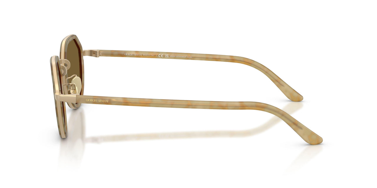630073 - Tortoise - Dark Brown
