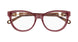 008 - Burgundy/Havana - Transparent