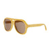 39E - Shiny Yellow - Brown