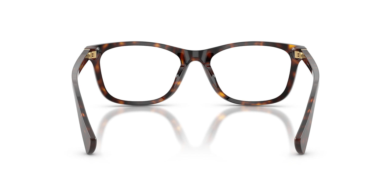 5003 - Tortoise