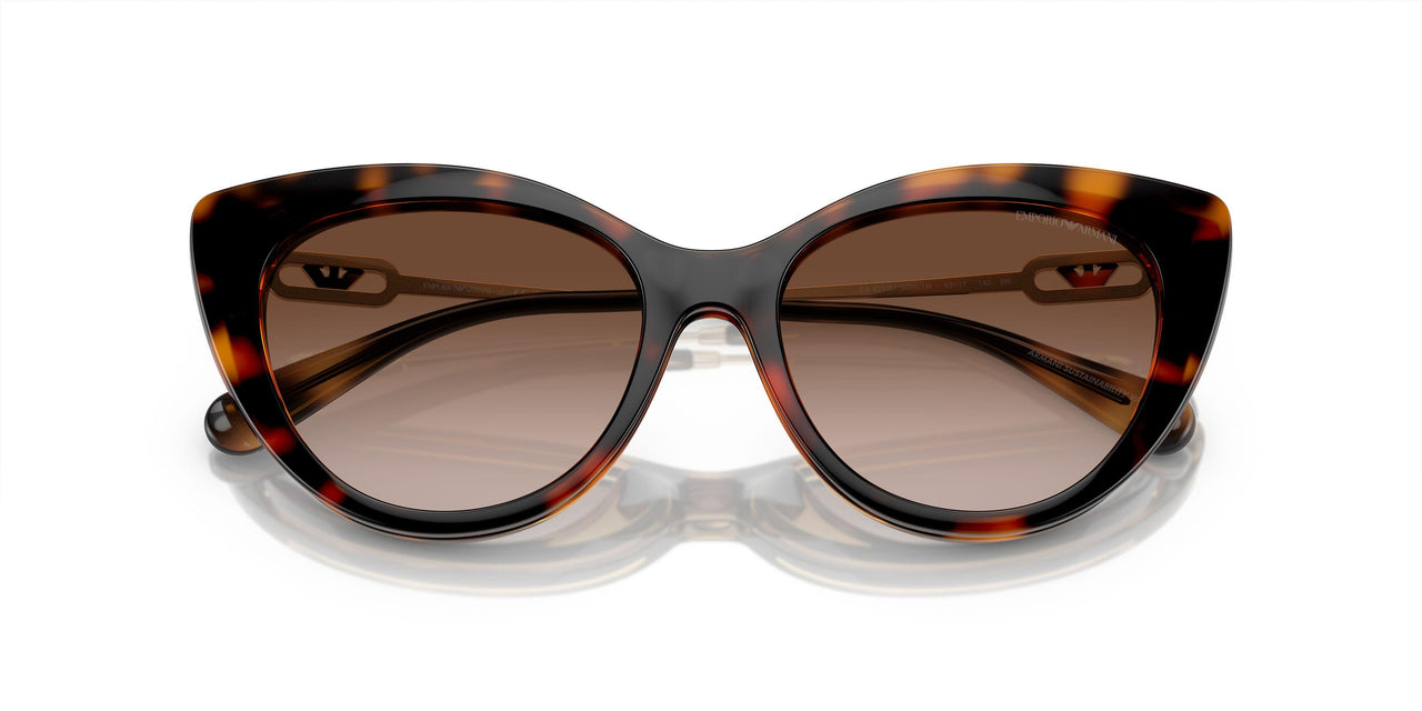 50261W - Tortoise - Clear