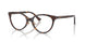 5002 - Tortoise
