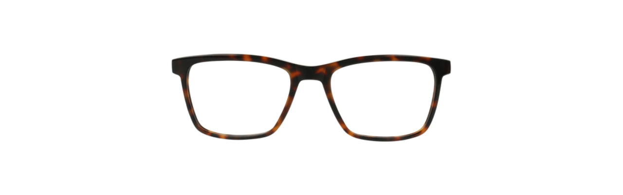 TRB - Tortoise/Blue