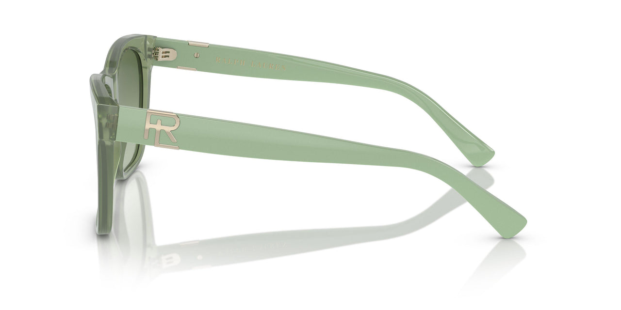 60498E - Green - Gradient Green